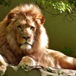 ZOO Bojnice: Tipy na rodinný výlet počas jesenných víkendov